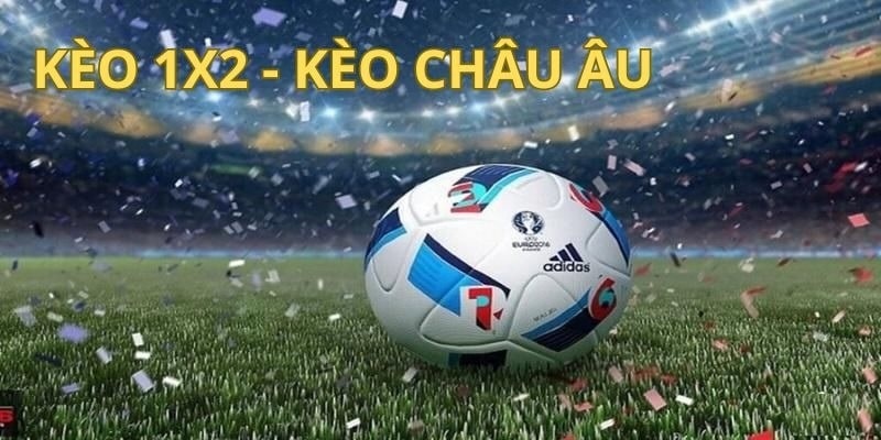 Cách đọc kèo chi tiết cho thành viên mới