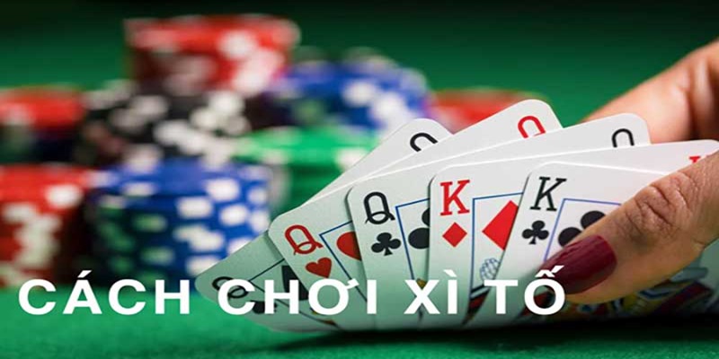 Tìm hiểu khái niệm xì tố